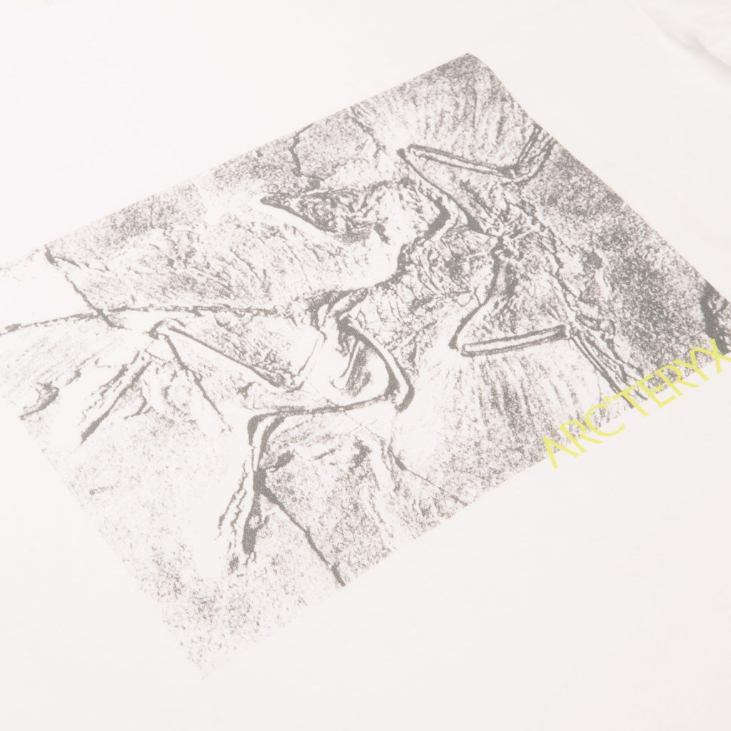Arc'teryx Kragg Cotton Lithographica SS M (White Light)